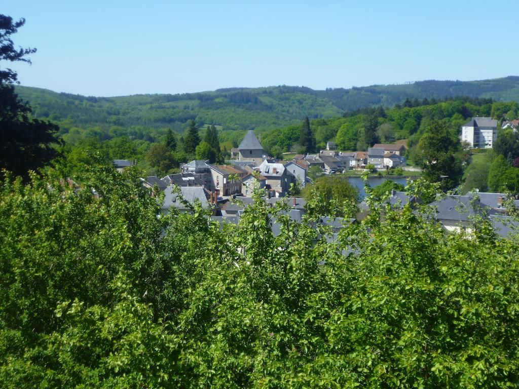 Peyrat-le-Château杜马尔尚旅馆住宿加早餐旅馆 客房 照片