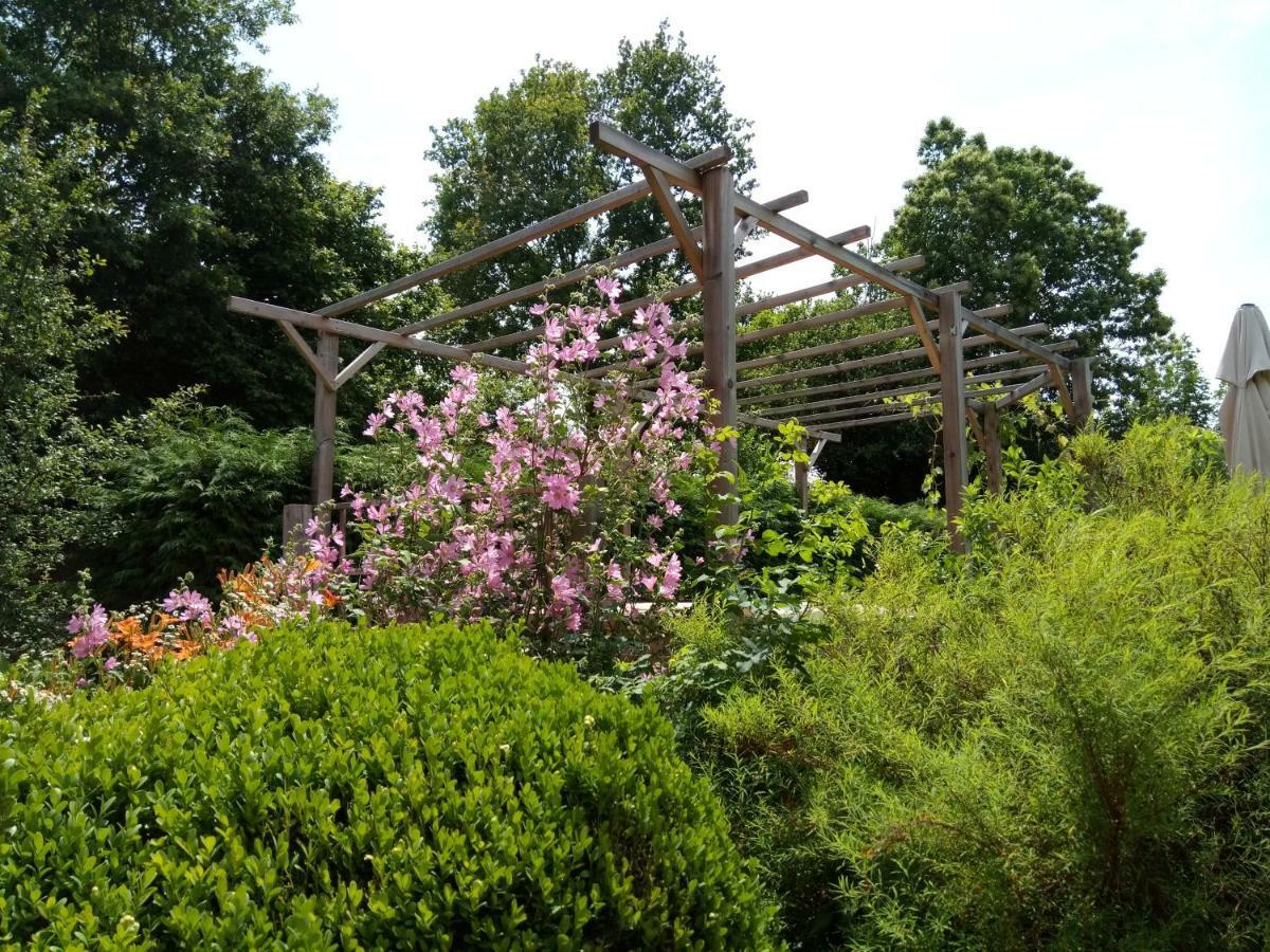 Peyrat-le-Château杜马尔尚旅馆住宿加早餐旅馆 外观 照片